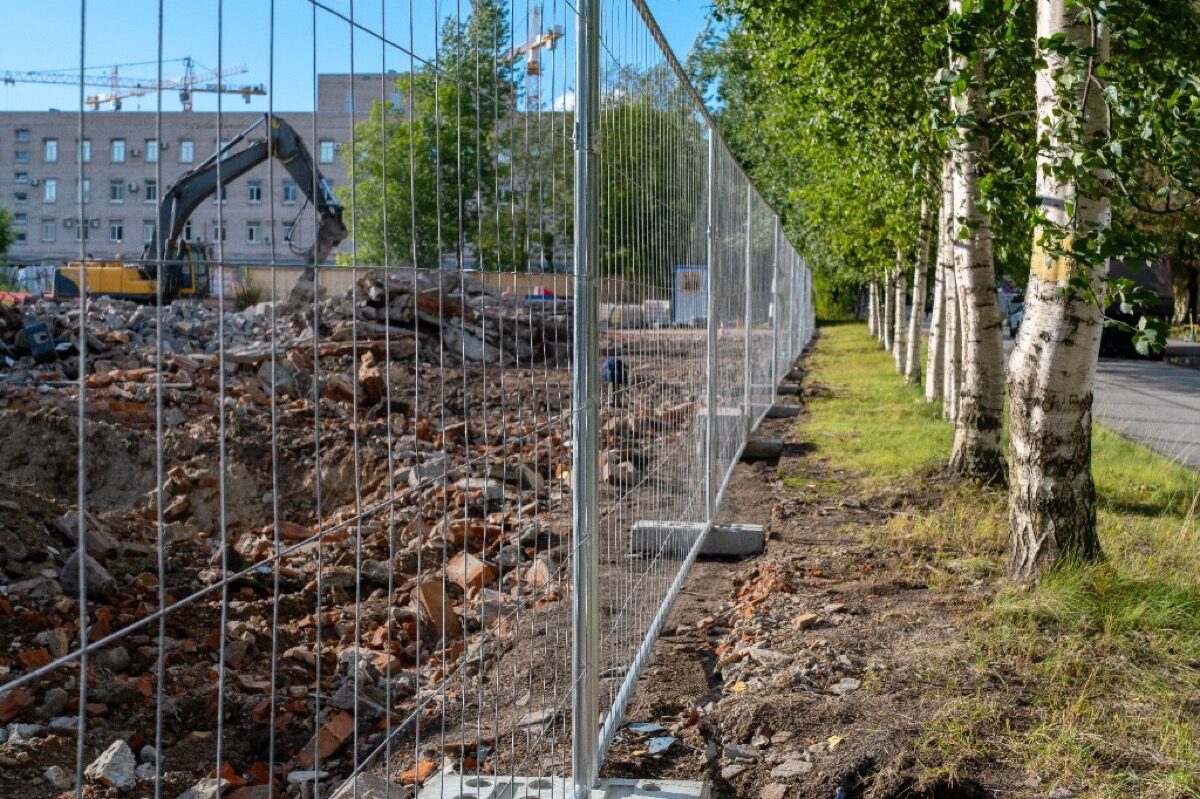 Baumschutz auf der Baustelle: Bauzaun schützt Birkenreihe